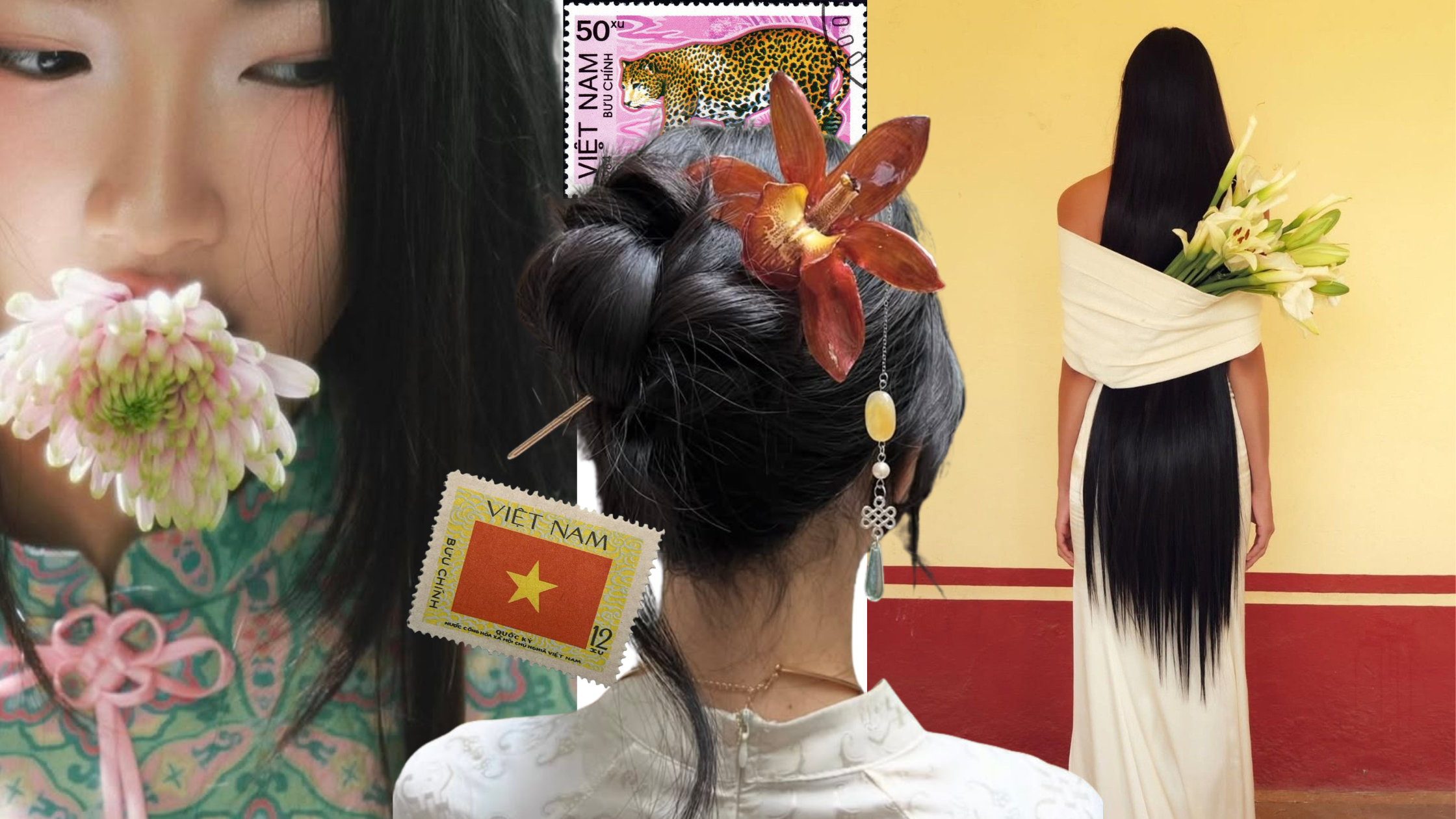 Vietnamese Hair: Everything You Need to Know Before Buying