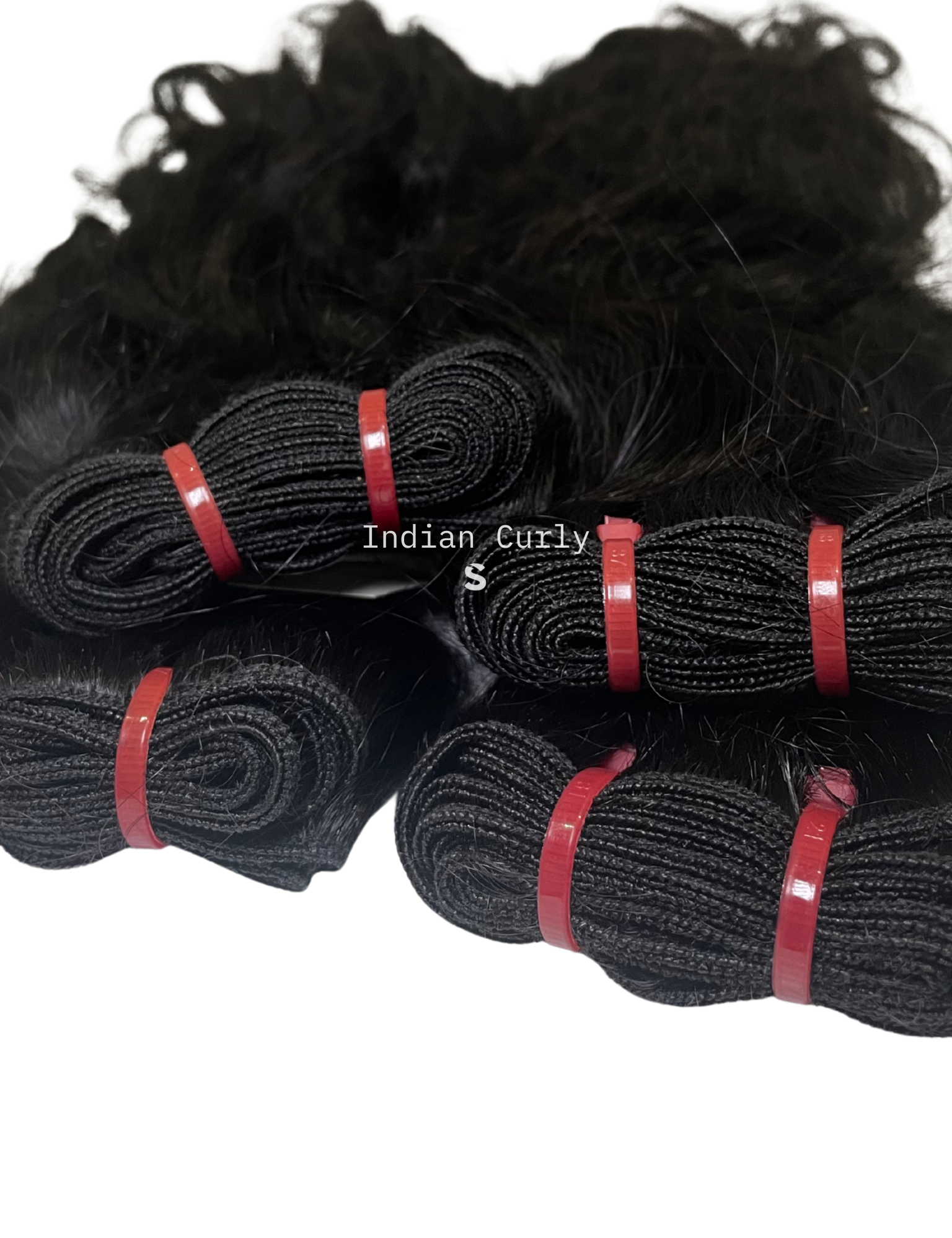 Indian_curly_2.png